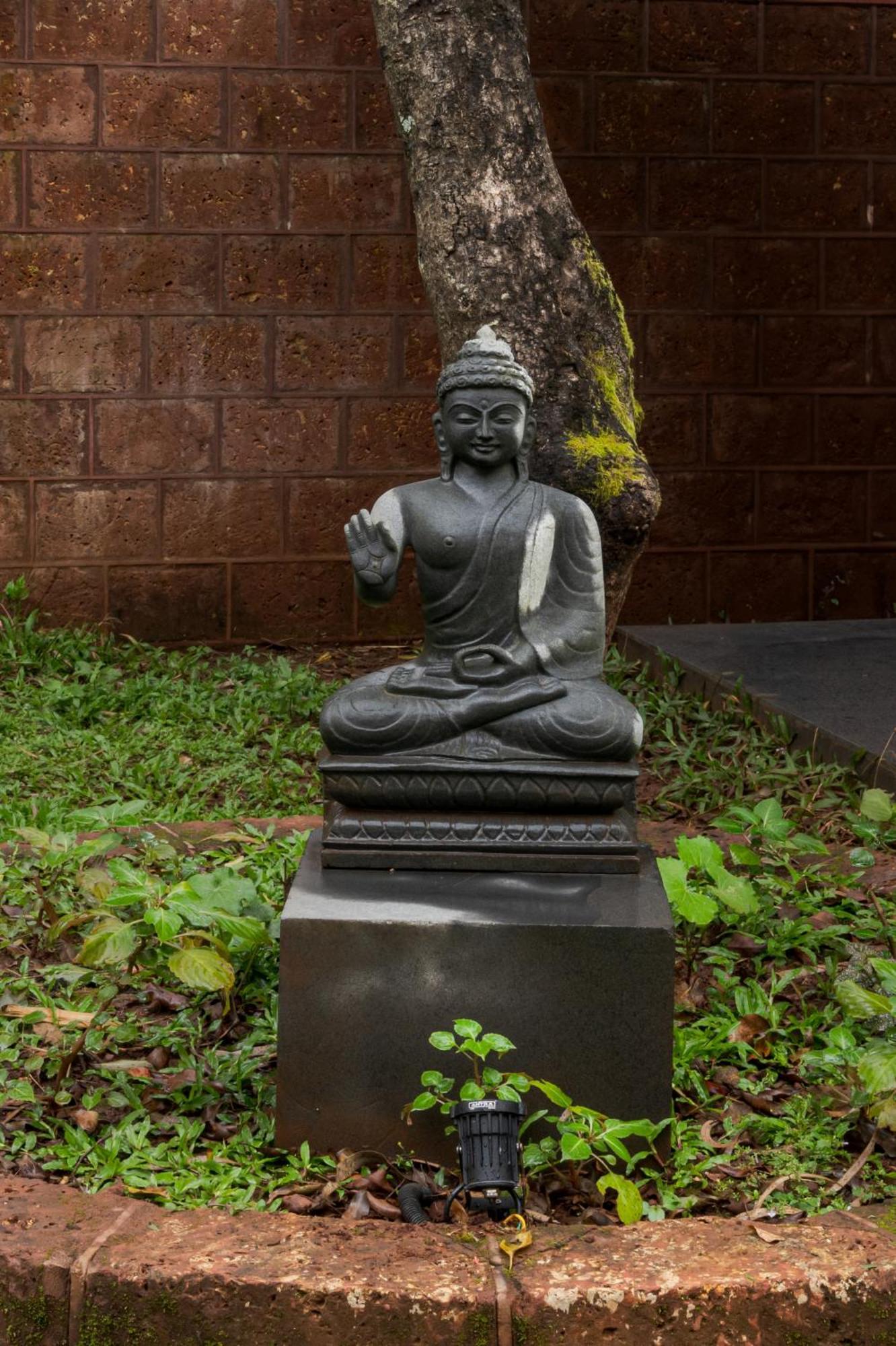 Saffronstays The Glasshouse, Panchgani - Beautiful Glass Villa For Couples エクステリア 写真